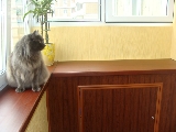 Увеличить изображение Заказать лоджию под ключ.
(097)97 087 87